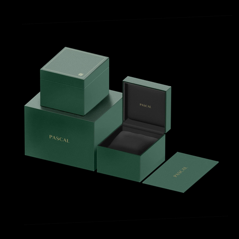 Paradoxe Diamond Watch - ARTIST001