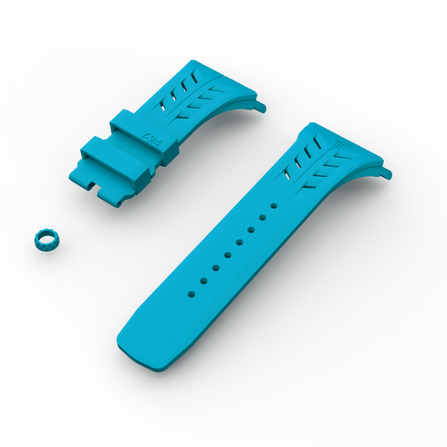 CASE STRAPS