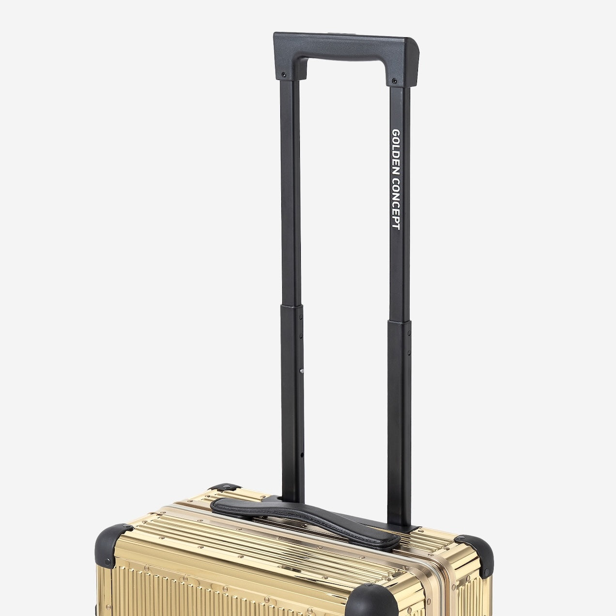 Trunk - Champagne Gold