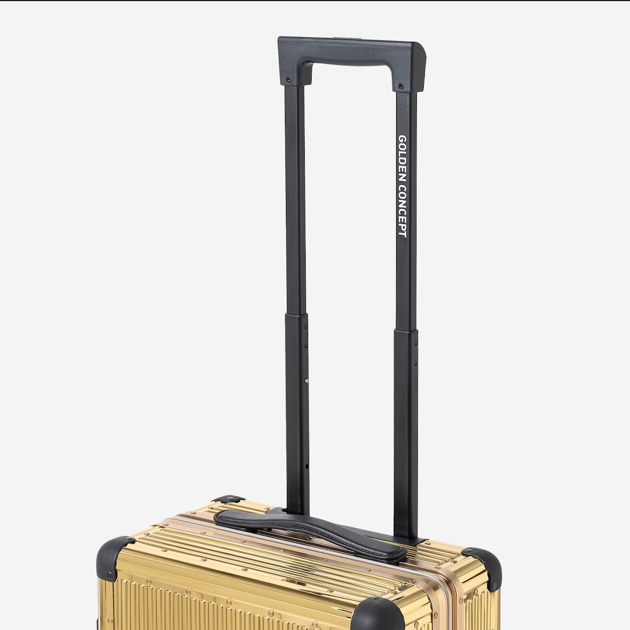 Trunk - Solid Gold