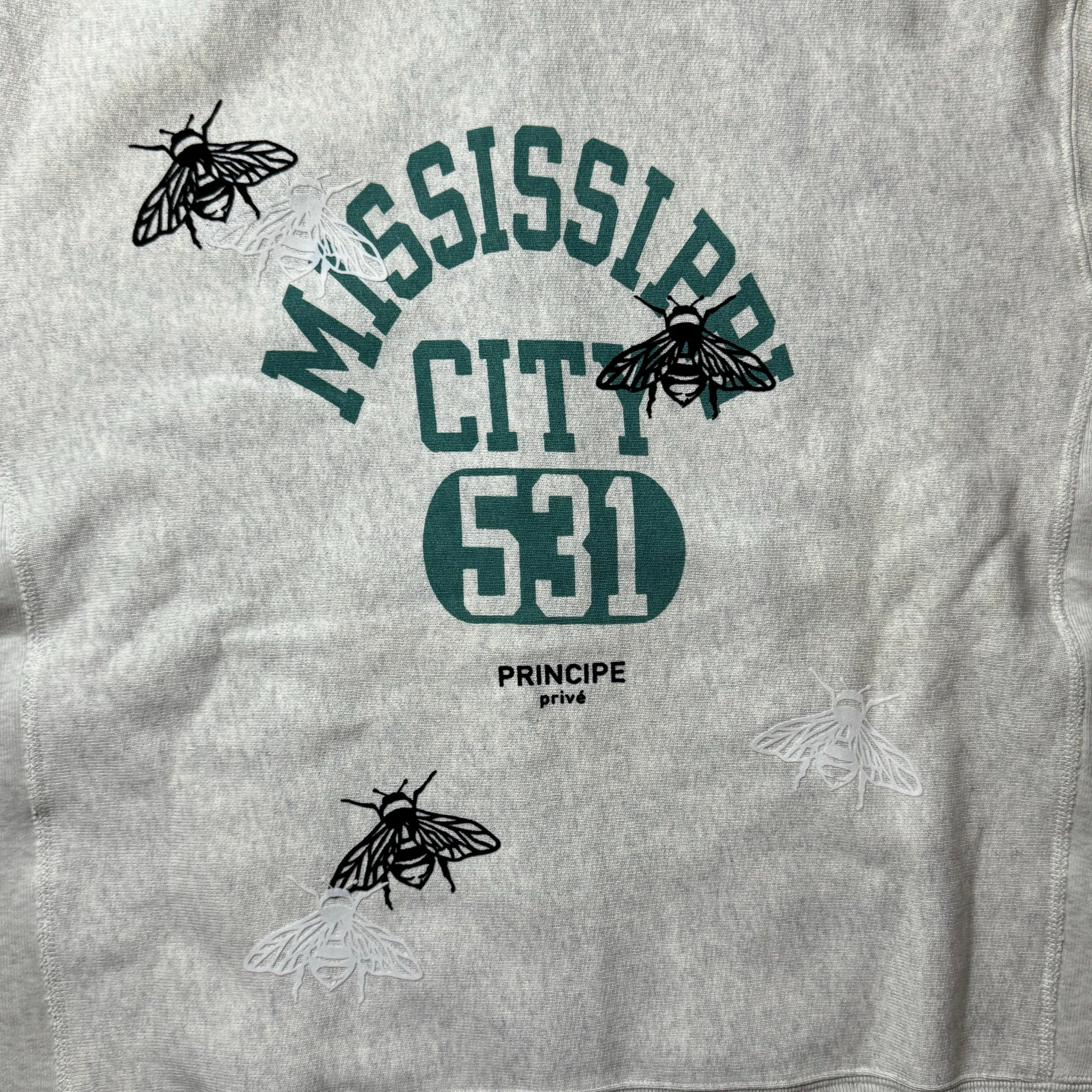 Mississippi City 531 Hoodie