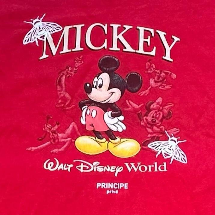 MICKEY FRIENDS (XL)