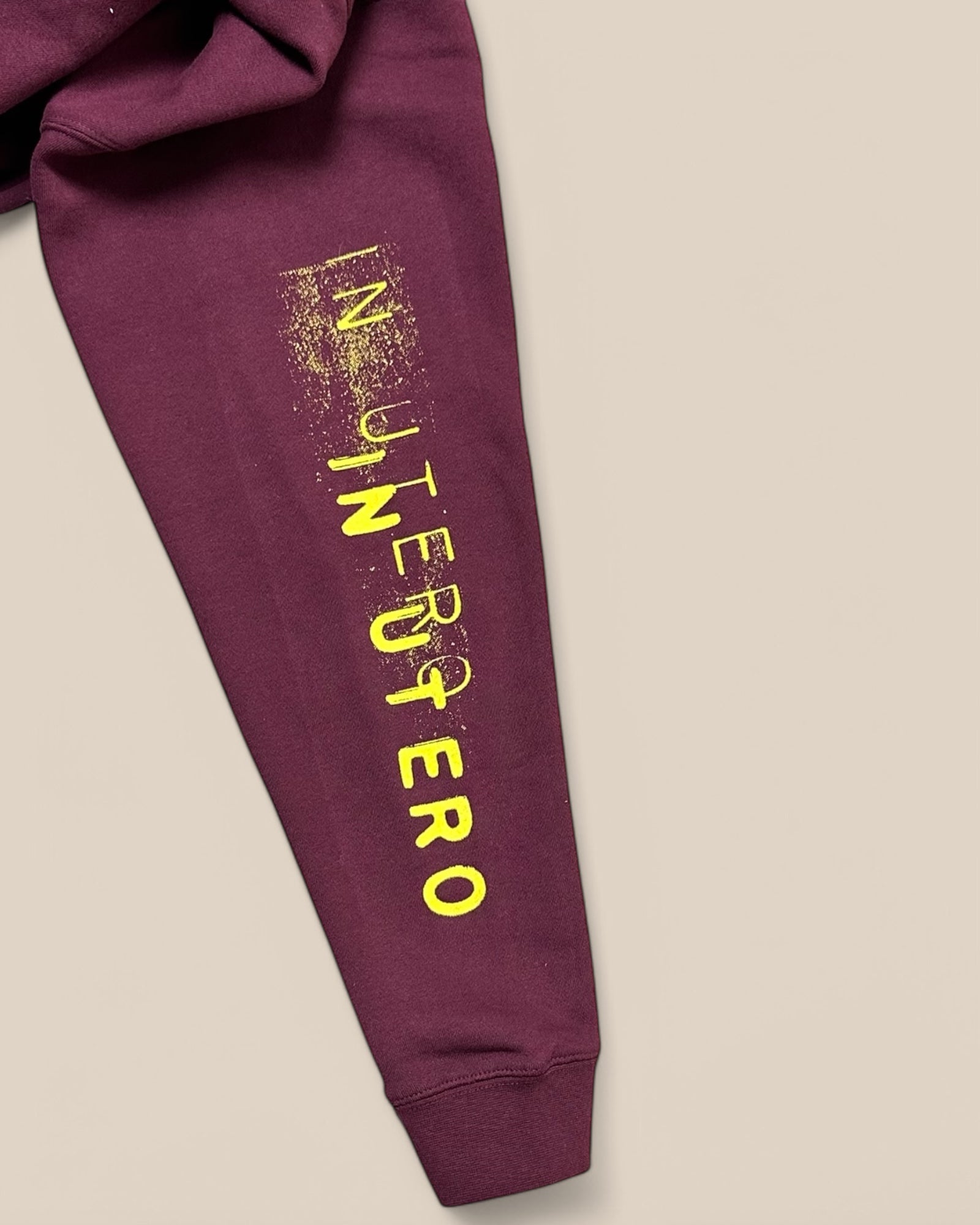 In Utero Graphic Hoodie