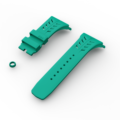 CASE STRAPS
